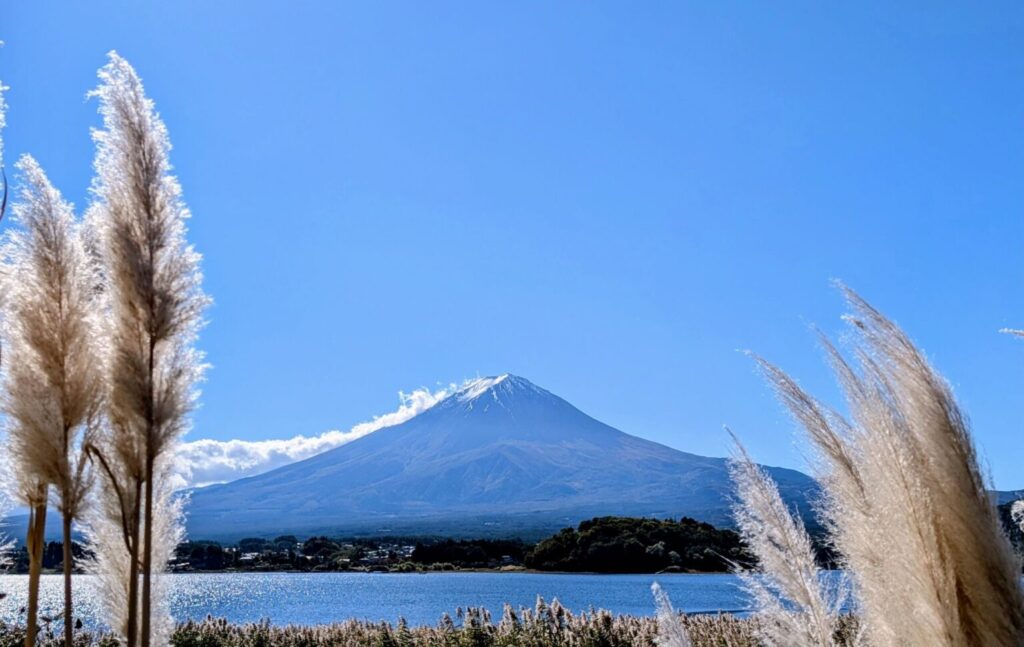 秋の河口湖、大石公園のすすきと富士山