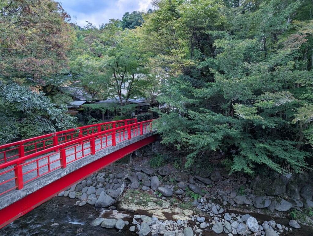 新井旅館の客室から眺める桂橋と狩野川、色づき始めたもみじの風景
