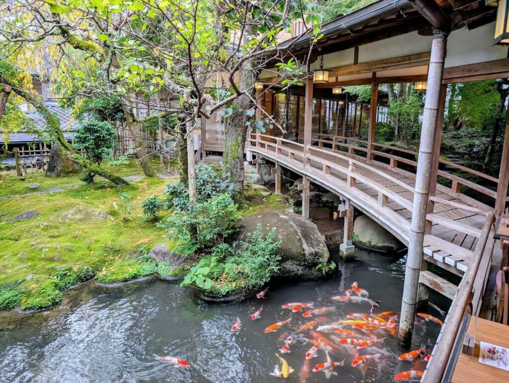 鯉が泳ぐ池にかかる木橋と苔に覆われた新井旅館の庭園(伊豆・修善寺)