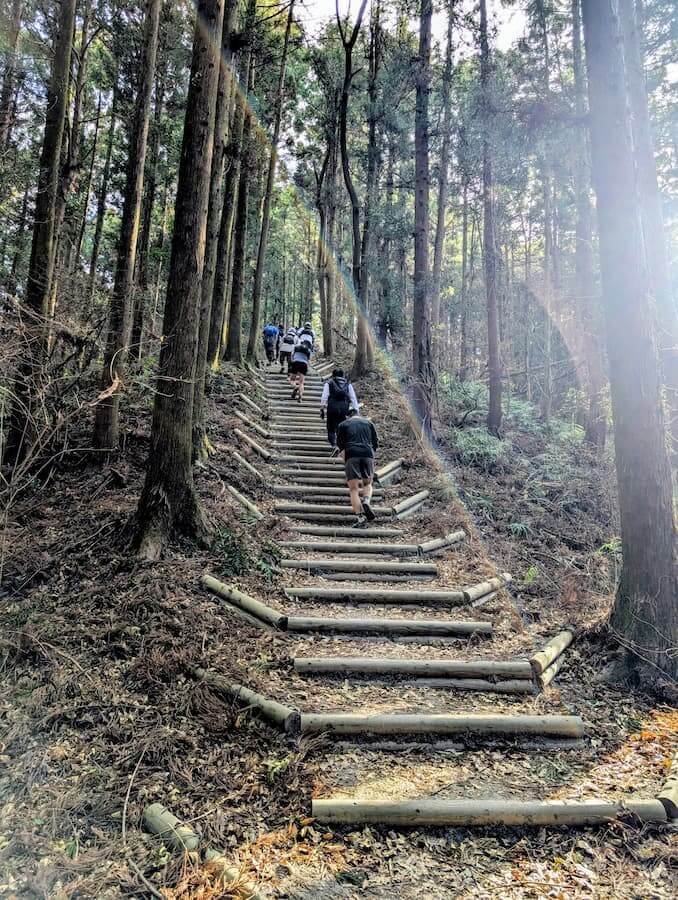 長瀞アルプストレイルの急な上り坂に続く木製の階段